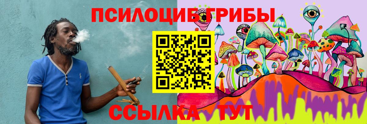 Галлюциногенные грибы Magic Shrooms  Вход с VPN  Кострома  Псилоцибиновые грибы Magic Shrooms 