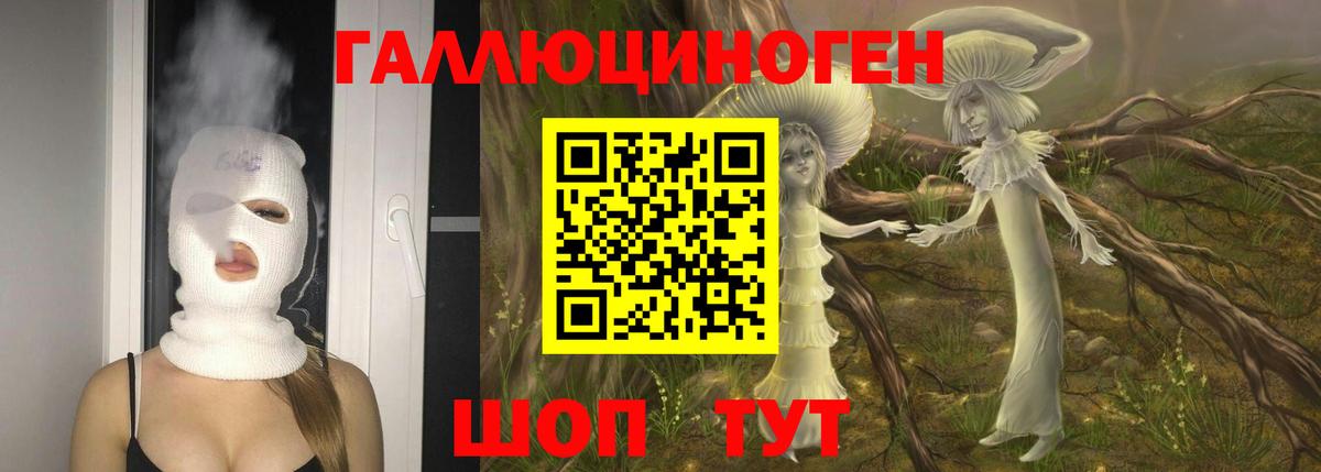 Галлюциногенные грибы прущие грибы Кострома